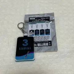千葉ロッテマリーンズ クーリッシュキーホルダー