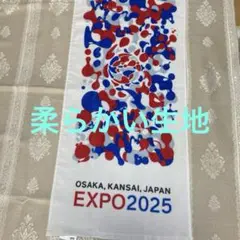 Item thumbnail for item cd540529-b952-4764-8633-97e29fc36418