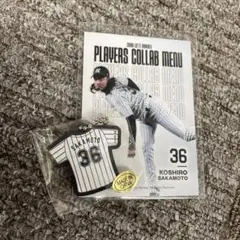 千葉ロッテマリーンズ ＃36 坂本光士郎 キーホルダー