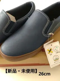 Item thumbnail for item 1b69a888-d00b-4726-8ff2-495da0318157