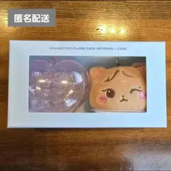 ジェニ　BLACKPINK ソウルコン コヤンコン MD フェイスキーリング 2