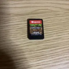 マインクラフト nintendo swich