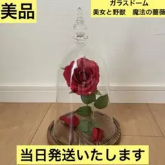 【激レア・当日発送】美女と野獣のカフェ&レストラン 限定 ガラスドーム魔法の薔薇