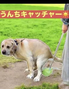 Item thumbnail for item ab3fc9ae-9bfb-437a-b3a0-0cb08cea9222