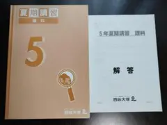 四谷大塚 夏期講習 5年 理科 テキスト 美品 書き込みほぼなし 早稲田アカデミ