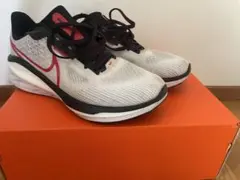 Item thumbnail for item 4954826a-3f22-465a-9308-8bab2977e815