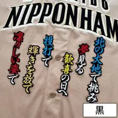 日本ハムファイターズ 刺繍ワッペン 山埼福也 応援歌 黒