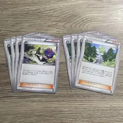 ポケモンカード　エクストラバトル　N・ミツル　8 枚セット