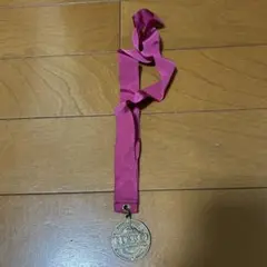 ディズニーランド　シンデレラ城ミステリーツアー　メダル