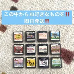 【即日発送❗️】DSソフト