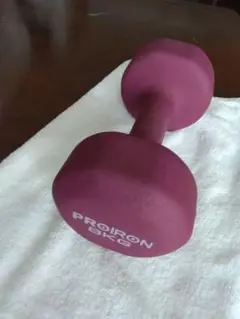 PROIRON 8kg ダンベル