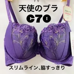 C70 トリンプ 天使のブラ スリムライン 534 ブラジャー