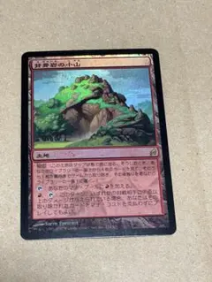 Item thumbnail for item 8076dbe1-9a1d-494d-8a4f-a7a435e6addb