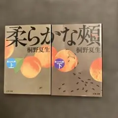 柔らかな頬 上下セット　桐野夏生