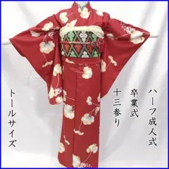 209mw11■ハーフ成人式 十三参り 卒業式 女児 着物&袋帯 蕗■美品