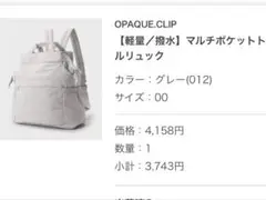 グレーリュック