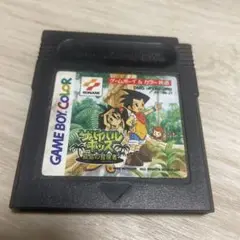 サバイバルキッズ 孤島の冒険者 【ゲームボーイ】ソフトのみ