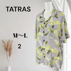 Item thumbnail for item 7a0862ec-a09c-4520-ab1b-7b9f9d62229e