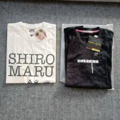 ユニクロTシャツ（メンズ）L　2枚セット