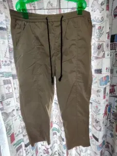 EDWIN F.L.E クライミング クロップドパンツ ES716 2L