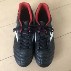 新品未使用！モナルシーダネオ