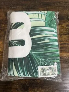 Item thumbnail for item a7cb3551-6927-4800-abdd-1a6cb7d3bd10