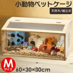 Item thumbnail for item b1ab3b74-f7ff-4a66-8665-ee282ab46ed6