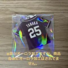 楽天イーグルス　ビジターユニフォームキーホルダー　田中和基
