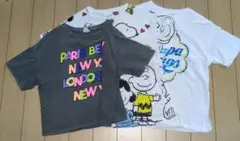 ZARA Tシャツ 13-14歳　3枚セット