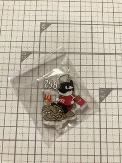 金鯱アクリルキーホルダー グランパスくんjr.