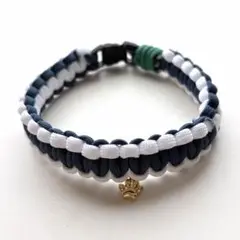 Item thumbnail for item 8522048e-d689-4557-8196-ef87b6b0b5e3