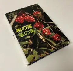【8月お値下げ・状態キレイ】「樹の実 草の実」山と渓谷社