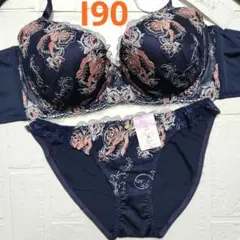 【新品未使用】格安！ブラショーツセット I90 5262 ネイビー 脇高 綺麗
