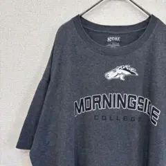 アメリカ古着　tシャツ カレッジ　ロゴ　プリント　 XL 2353