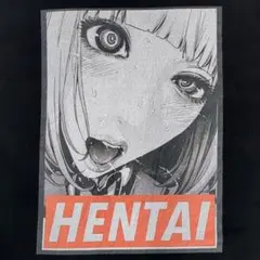 監獄学園 Tシャツ プリズンスクール エロ セクシー サイズL 緑川花