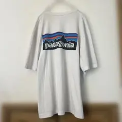 patagonia ホワイト オーバーサイズ Tシャツ