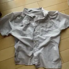 ページボーイ　シアーシャツ値下げ