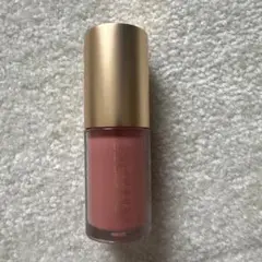 日本未入荷 LISA ELDRIDGE リップグロス ピンク SONGBIRD