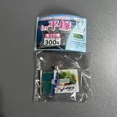 平塚市　湘南　in平塚　街ガチャ　数量限定　しまむらストアー　ポイントカード