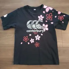 【M】カンタベリーCanterbury Tシャツ