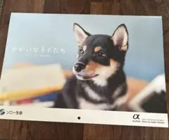 2023年　カレンダー　犬　ソニー生命