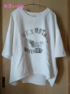 チチカカ　 プリント入り Tシャツ 五分袖　ムーチョ15号