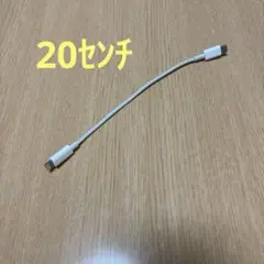 USB-C to Lightningケーブル20センチ