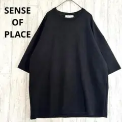 センスオブプレイス アーバンリサーチ ダンボールポンチTシャツ【L】ゆったり