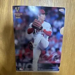 大谷翔平 2023 サイン入りミニクリアファイル