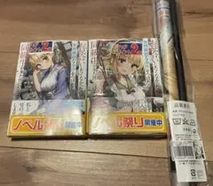 お見合いしたくなかったので、無理難題な条件をつけたら同級生が来た件について