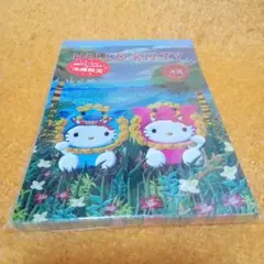 【沖縄限定】未開封＊ハローキティ＊シーサー＊メモ帳
