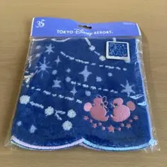東京ディズニーリゾート ミッキー タオルセット