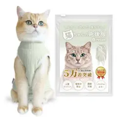 Item thumbnail for item fe4658a4-05bc-4fa8-9616-7f53e421f79a