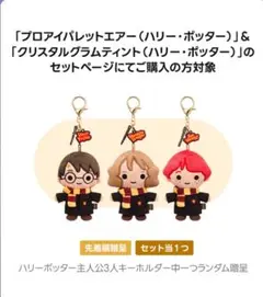 【非売品】ハリー・ポッター ぬいぐるみキーホルダー【クリオ】